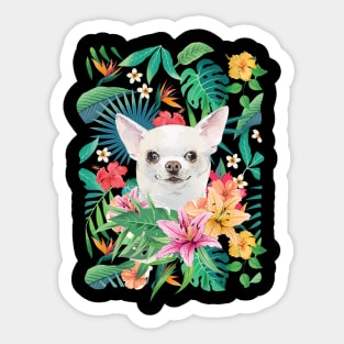 Tropical Short Haired White Chihuahua 4 Sticker